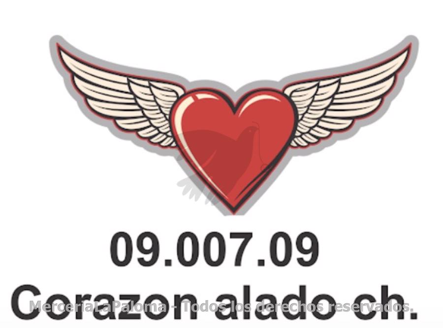 APLICACION CORAZON ALADO CHICO A.09.007.09 60MM X 6 U.