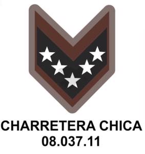APLICACION CHARRETERA CH. A.08.037.11 35X45MM X 6 U.