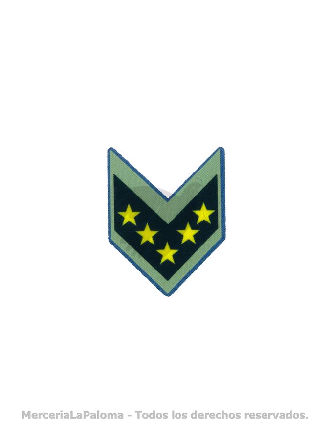 APLICACION CHARRETERA GDE. A.08.038.14 50X70MM X 6 U.