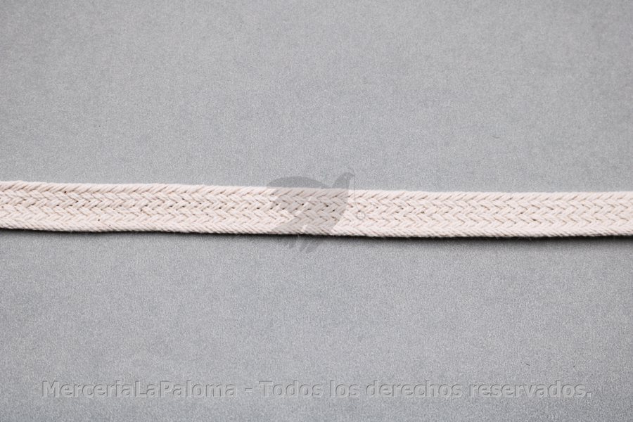 Trenza Chata Fb A717 Algnat 10mm X100m Mercerialapaloma Distribuidora Mayorista De Merceria 6599